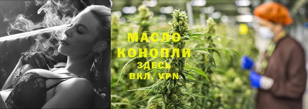 шишки Верхний Тагил
