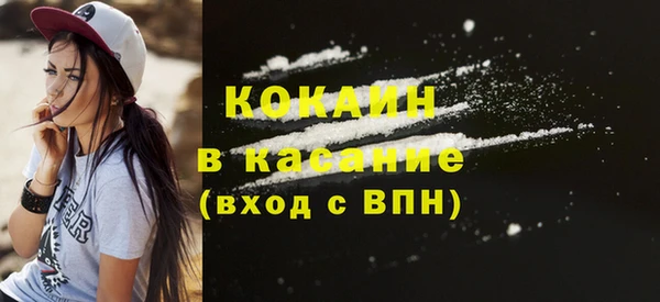 стафф Бородино