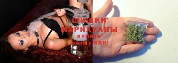 стафф Бородино