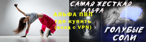 стафф Бородино
