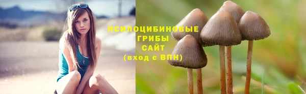 СК Бронницы