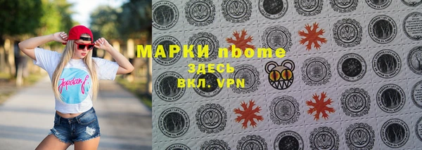 шишки Верхний Тагил
