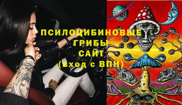 стафф Бородино