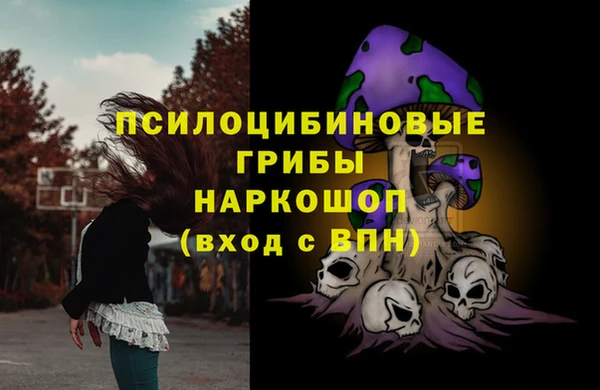 СК Бронницы