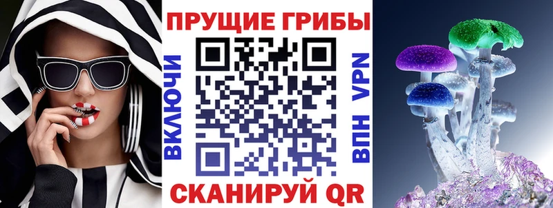 Псилоцибиновые грибы GOLDEN TEACHER  Полесск 